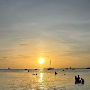 Meet your Posher, Mia